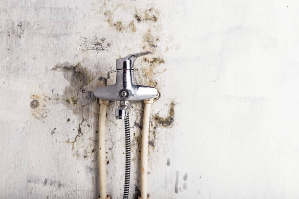 Best Emergency Mold Removal  in Cottonwood, CA