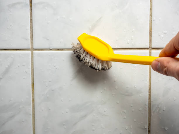 Cottonwood, CA Mold Removal Company