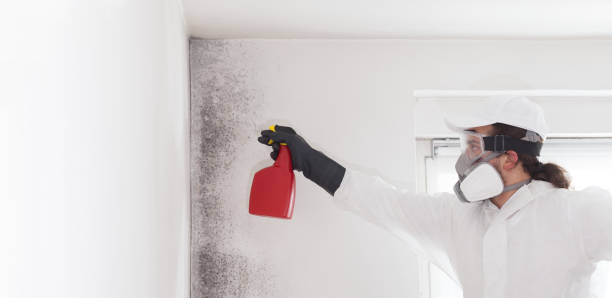 Best Office Mold Removal Services  in Cottonwood, CA