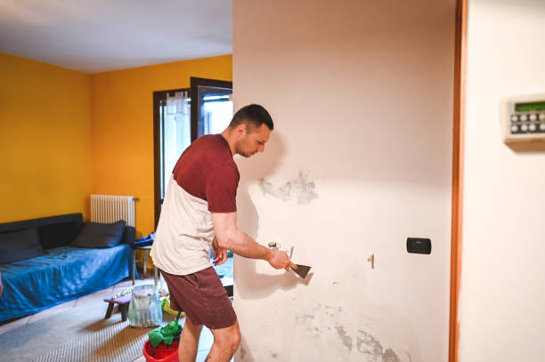 Best Professional Mold Removal  in Cottonwood, CA